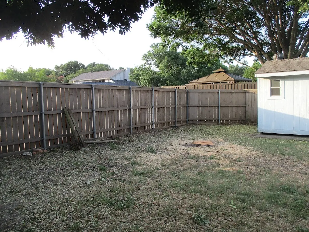 Cleared yard after professional tree removal in Lance Creek