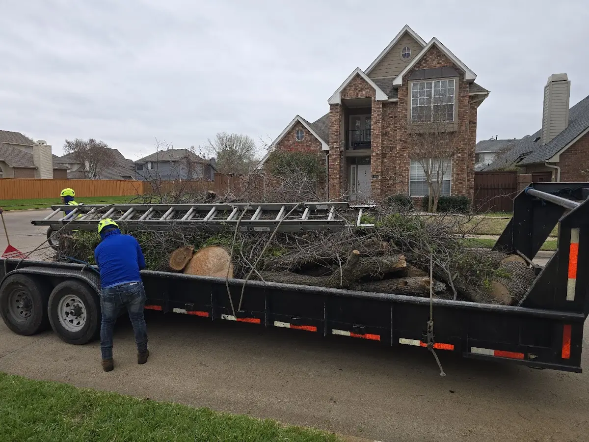 Expert Lot Clearing with proper safety equipment in Lance Creek